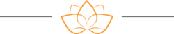 title_shape2 1 1 e1781951710983